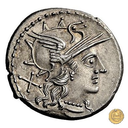 221/1 - denario T. Annius Rufus 144 BC (Roma)