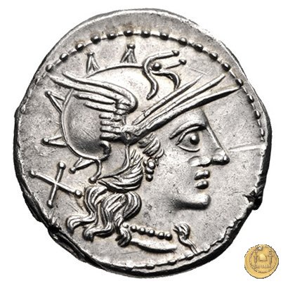 221/1 - denario T. Annius Rufus 144 BC (Roma)