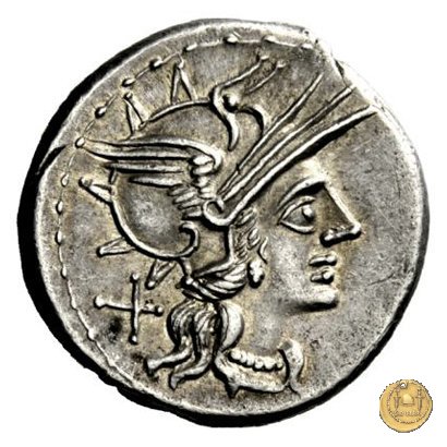 221/1 - denario T. Annius Rufus 144 BC (Roma)