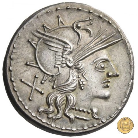 221/1 - denario T. Annius Rufus 144 BC (Roma)