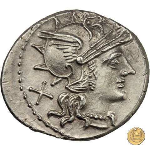 221/1 - denario T. Annius Rufus 144 BC (Roma)