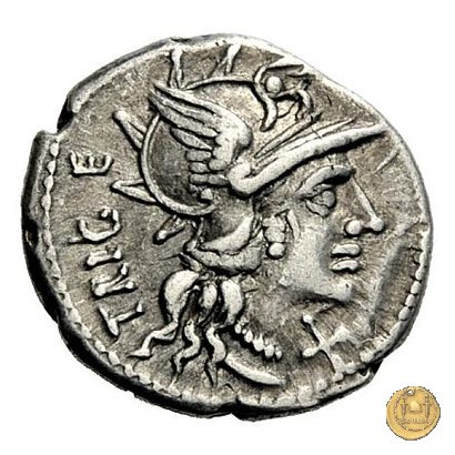 223/1 - denario C. Curiatius Trigeminus 142 BC (Roma)