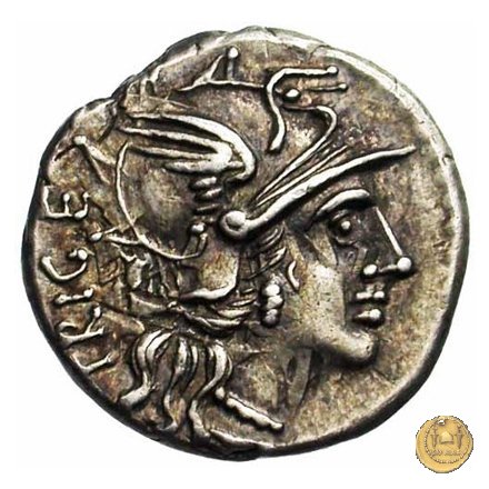 223/1 - denario C. Curiatius Trigeminus 142 a.C. (Roma)