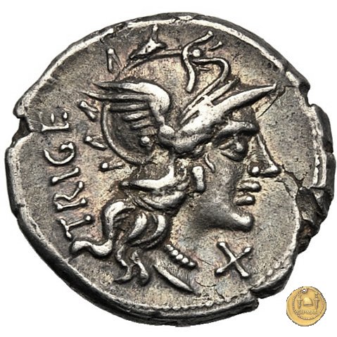 223/1 - denario C. Curiatius Trigeminus 142 BC (Roma)