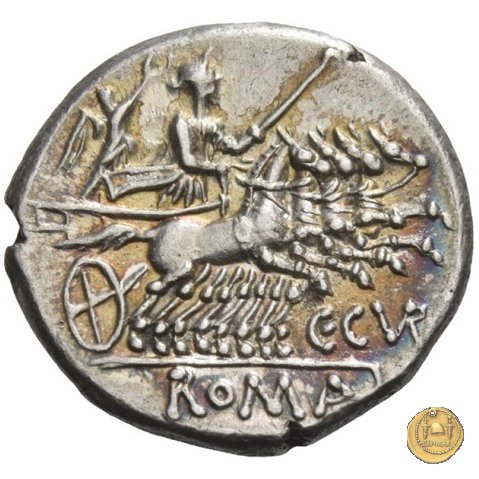 223/1 - denario C. Curiatius Trigeminus 142 BC (Roma)