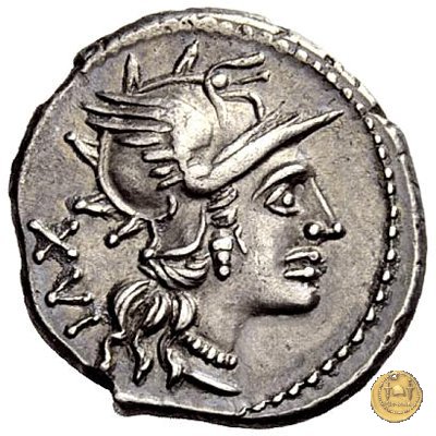 224/1 - denario L. Iulius 141 BC (Roma)