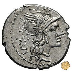 224/1 - denario L. Iulius 141 BC (Roma)