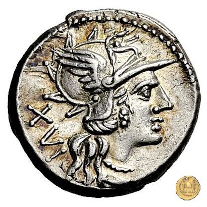 224/1 - denario L. Iulius 141 BC (Roma)