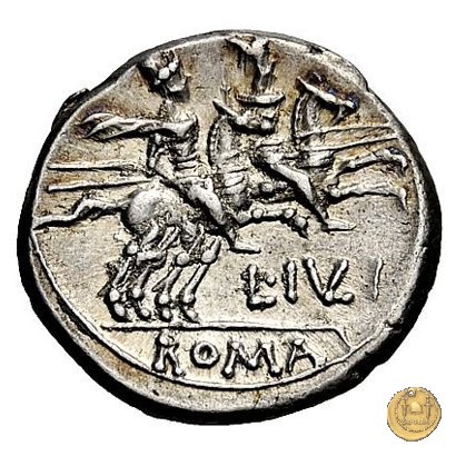 224/1 - denario L. Iulius 141 BC (Roma)