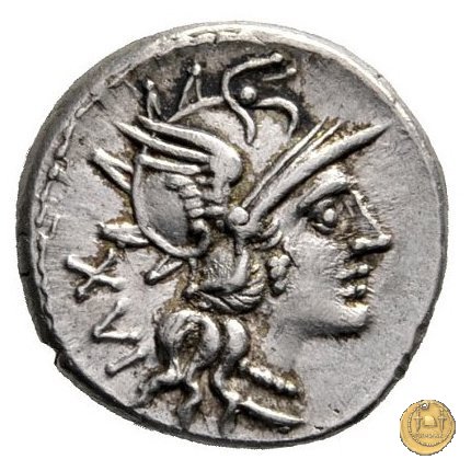 224/1 - denario L. Iulius 141 BC (Roma)