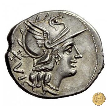 226/1 - denario C. Titinius 141 BC (Roma)