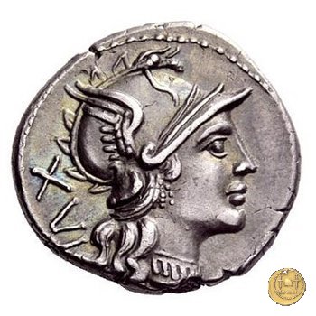 226/1 - denario C. Titinius 141 BC (Roma)