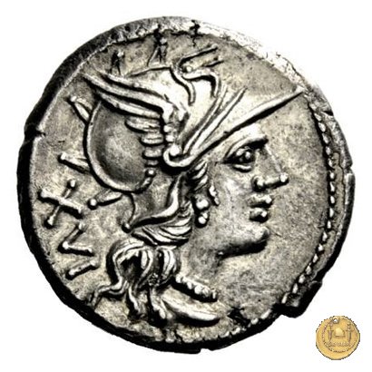 226/1 - denario C. Titinius 141 BC (Roma)