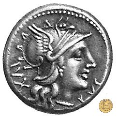 227/1 - denario M. Aufidius Rusticus 140 BC (Roma)