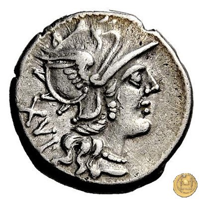 228/1 - denario C. Valerius C.f. Flaccus 140 BC (Roma)