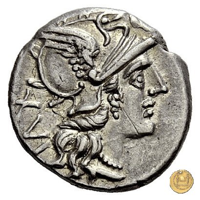 228/1 - denario C. Valerius C.f. Flaccus 140 BC (Roma)