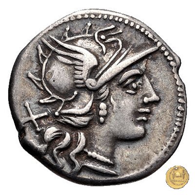 228/2 - denario C. Valerius C.f. Flaccus 140 BC (Roma)