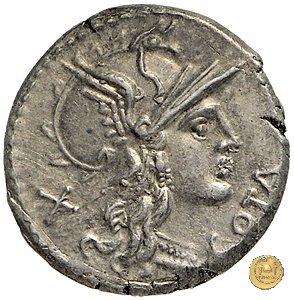 229/1 - denario M. Aurelius Cotta 139 BC (Roma)