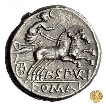 230/1 - denario A. Spurilius (oppure A. Spurius) 139 BC (Roma)