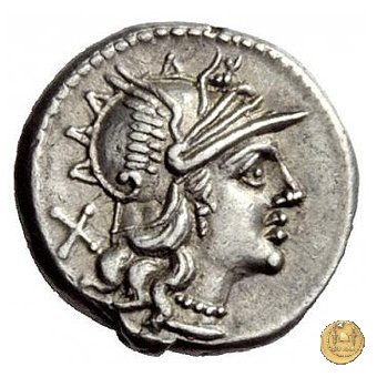 230/1 - denario A. Spurilius (oppure A. Spurius) 139 BC (Roma)