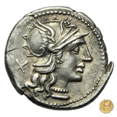 230/1 - denario A. Spurilius (oppure A. Spurius) 139 BC (Roma)