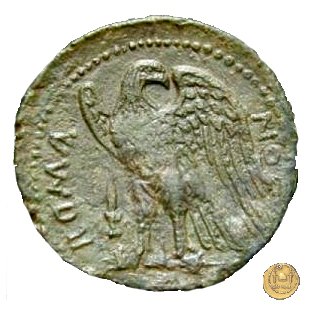 23/1 264 BC (Messana)