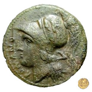 23/1 264 BC (Messana)