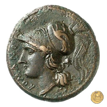 23/1 264 BC (Messana)