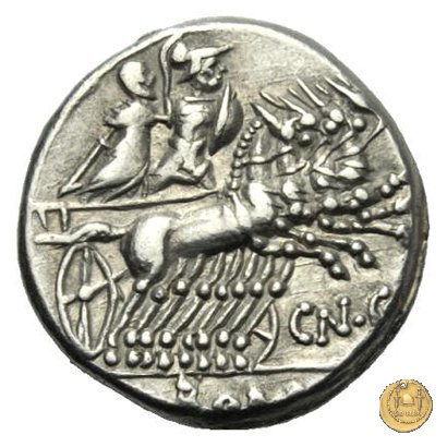 232/1 - denario Cn. Gellius 138 BC (Roma)