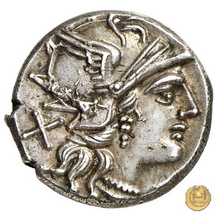 233/1 - denario P. Aelius Paetus 138 BC (Roma)