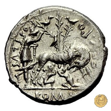235/1 - denario Sex. Pompeius 137 BC (Roma)