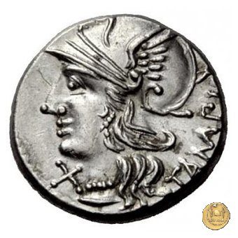 236/1 - denario M. Baebius Q.f. Tampilus 137 BC (Roma)