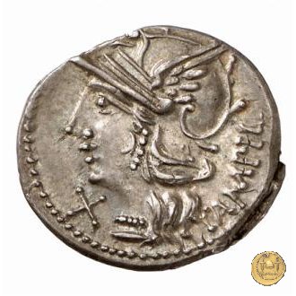 236/1 - denario M. Baebius Q.f. Tampilus 137 BC (Roma)