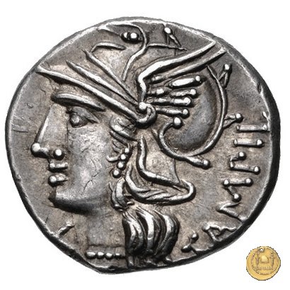 236/1 - denario M. Baebius Q.f. Tampilus 137 BC (Roma)