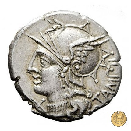 236/1 - denario M. Baebius Q.f. Tampilus 137 BC (Roma)