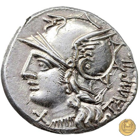 236/1 - denario M. Baebius Q.f. Tampilus 137 BC (Roma)