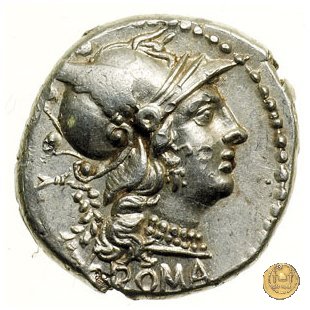 239/1 - denario C. Servilius M.f. 136 BC (Roma)