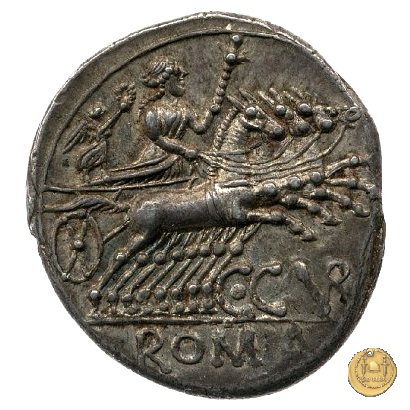 240/1 - denario C. Curiatius Trigeminus filius 135 BC (Roma)