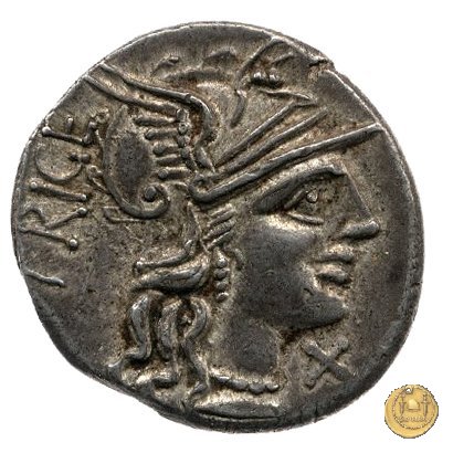 240/1 - denario C. Curiatius Trigeminus filius 135 BC (Roma)