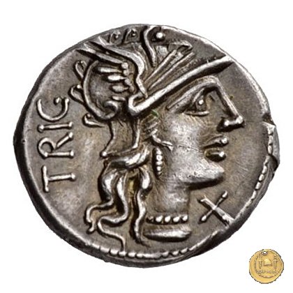 240/1 - denario C. Curiatius Trigeminus filius 135 BC (Roma)