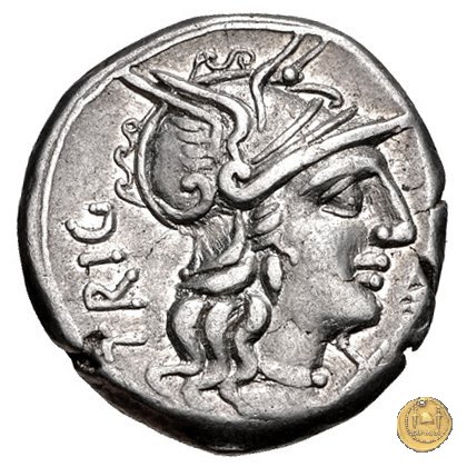 240/1 - denario C. Curiatius Trigeminus filius 135 BC (Roma)