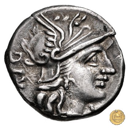 240/1 - denario C. Curiatius Trigeminus filius 135 BC (Roma)