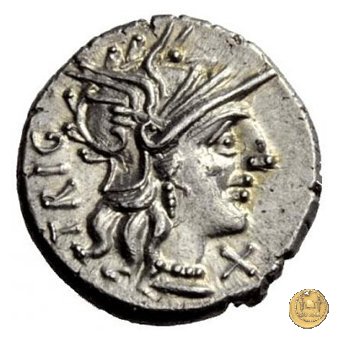 240/1 - denario C. Curiatius Trigeminus filius 135 BC (Roma)