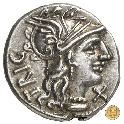 240/1 - denario C. Curiatius Trigeminus filius 135 BC (Roma)