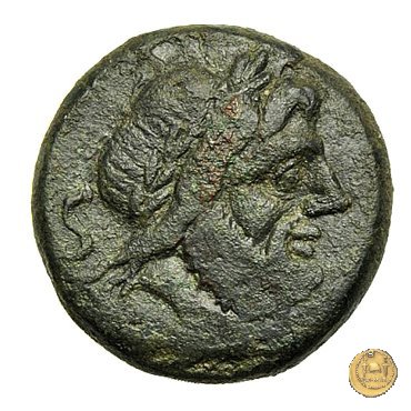 240/2 - semisse C. Curiatius Trigeminus filius 135 BC (Roma)