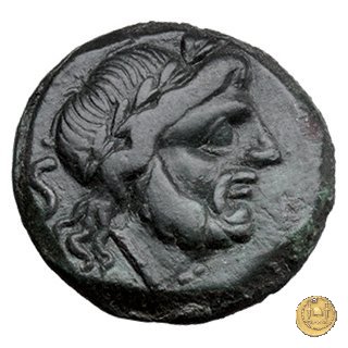 240/2 - semisse C. Curiatius Trigeminus filius 135 BC (Roma)