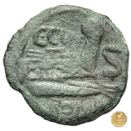 240/2 - semisse C. Curiatius Trigeminus filius 135 BC (Roma)