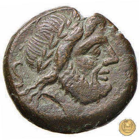 240/2 - semisse C. Curiatius Trigeminus filius 135 BC (Roma)
