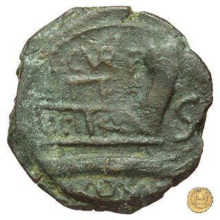 240/2 - semisse C. Curiatius Trigeminus filius 135 BC (Roma)