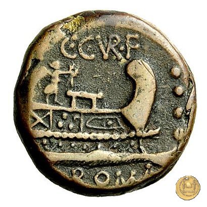 240/3 - triente C. Curiatius Trigeminus filius 135 BC (Roma)